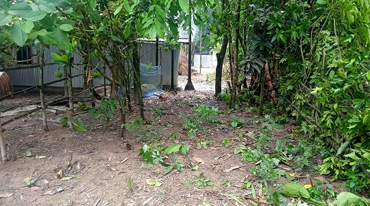 image-here